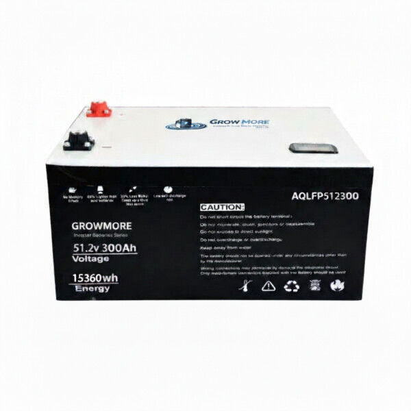 51.2v 300ah inverter battery